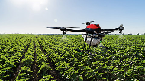 Drone sprayer flies over the agricultural field. Smart farming and precision agriculture