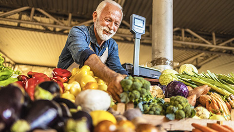 A mature Caucasian vegetable owner arranging vegetables at his stall getting ready for the day.