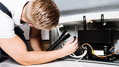 Technician checking the refrigerator wiring