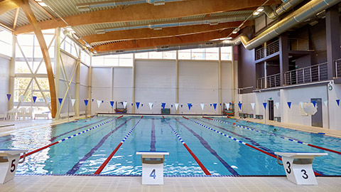 Swimming pool with race tracks or lanes. Interior of a public swimming pool.