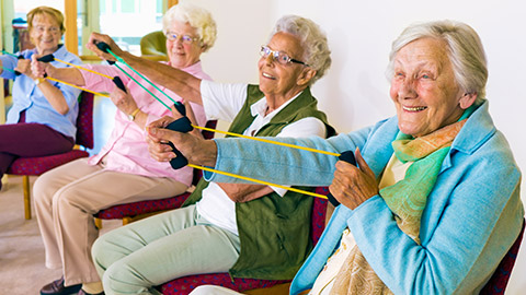 A group of seniors exercising