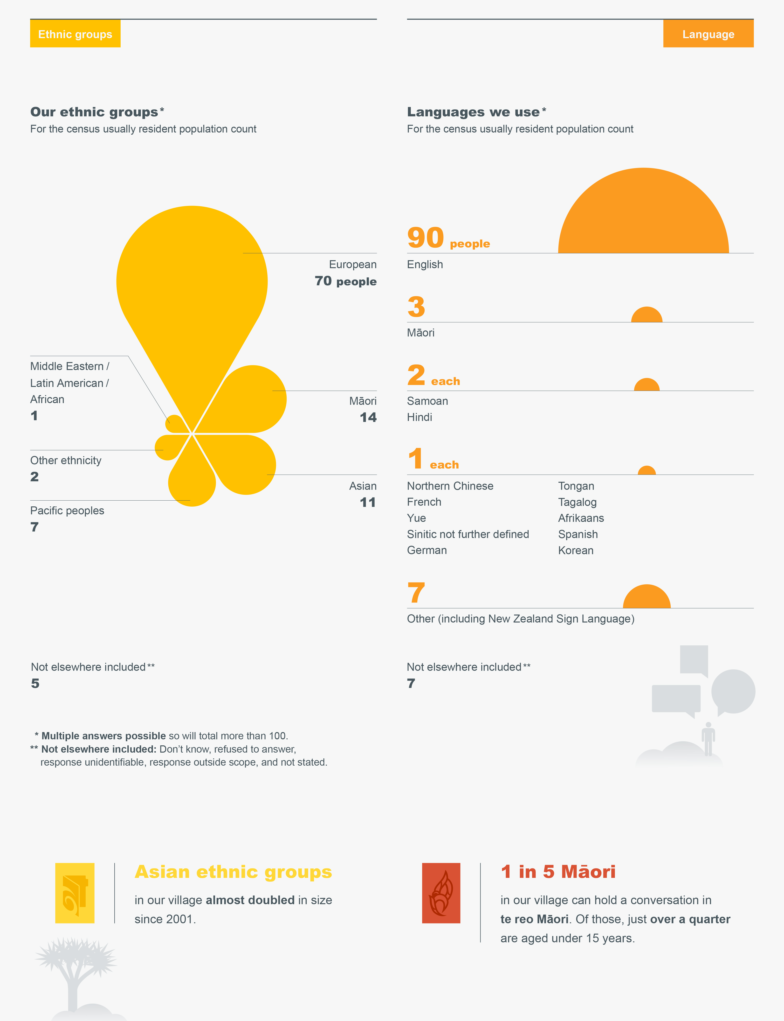 languages spoken in NZ 2013