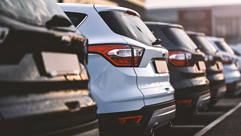 A lineup of rental cars