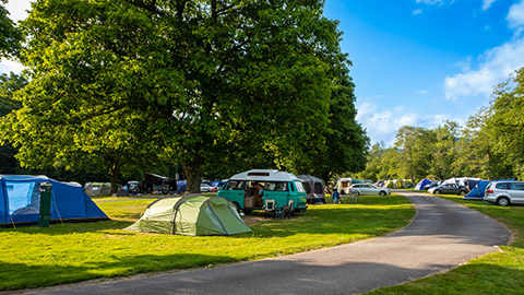 A campground