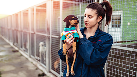 A worker at an animal shelter