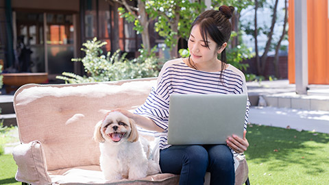 A person with a laptop outdoors with a dog