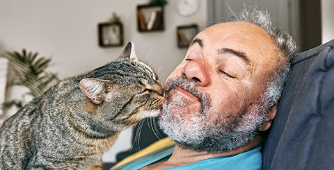 Tabby cat licking face of bearded man in living room.