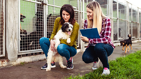 people at an animal shelter