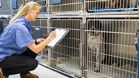 A person with pets in a cage