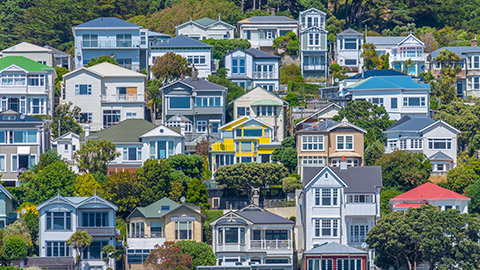 Houses in NZ