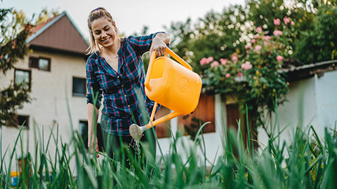 A person watering their garden with a watering can