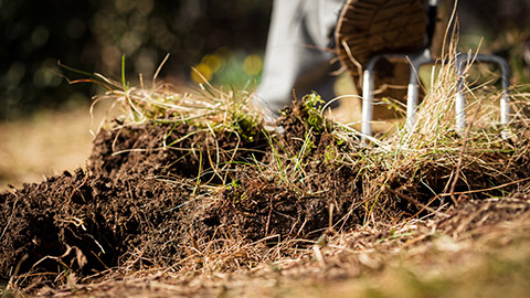 A close view of a person digging up a garden