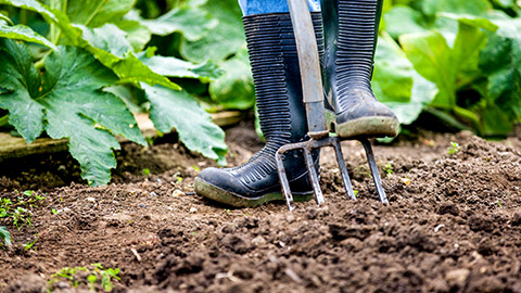 A person in a garden with a pitch fork