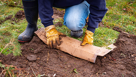 A gardener putting down cardboard