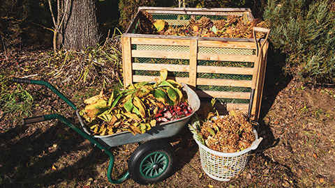 A wooden slatted compost bin