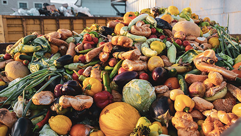 A pile of food waste in an industrial bin