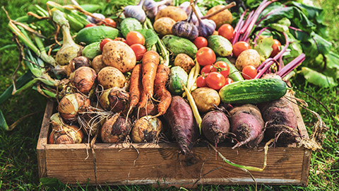 A box of fresh vegetables