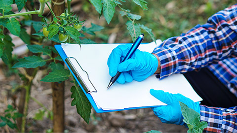 A farmer checking plants and writing down information