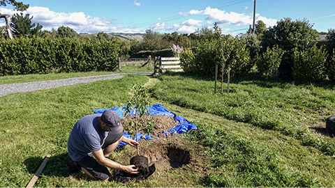 preparation for tree planting - cut the bag