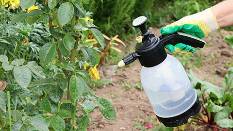 a watering can