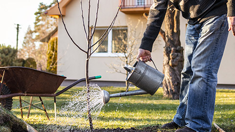 A person with a watering can and out of style jeans