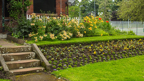 A garden in front of a house