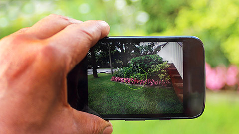 A person taking pictures of a garden area