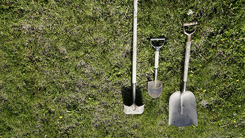 Shovels and Pickax Digging Tools laying in the grass.