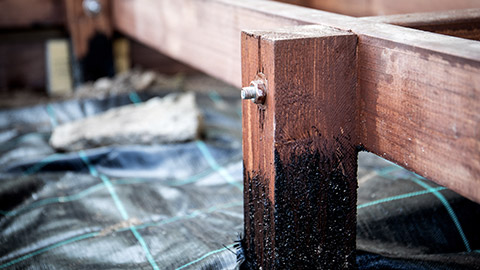 A close view of wooden posts