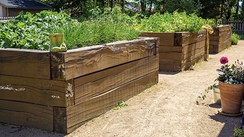 A couple of raised garden beds