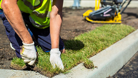 A person laying lawn