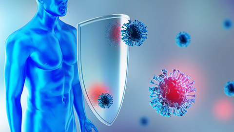 An illustration of a person's immune defence