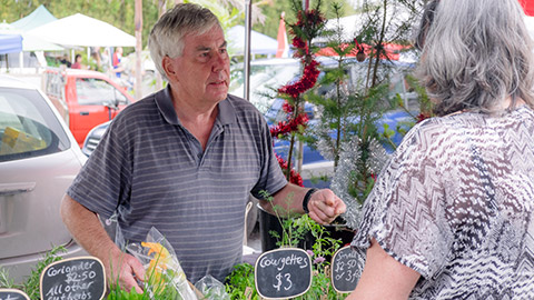 A person selling stuff at a market