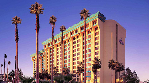 Disney Paradise Hotel