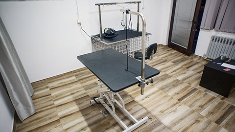 Pet grooming table at pet salon