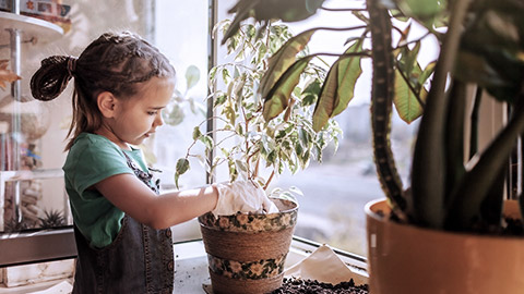 Little girl planting on a pot