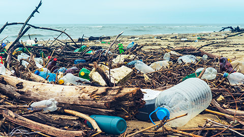 A close view of rubbish on a beach