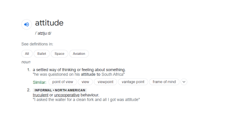 google meaning of attitude