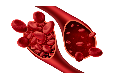 An illustration of blood flowing through arteries