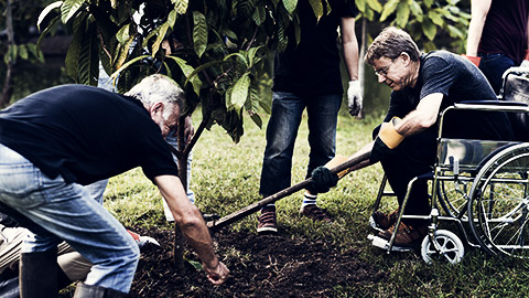 Group of Diverse People including a person with disablilities Planting Tree Together