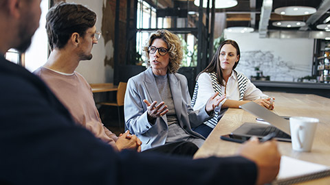 Team of professionals talking about a project in a meeting