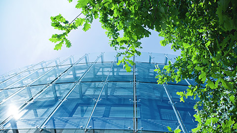 An exterior view of a modern office complex with vibrant trees in the foreground