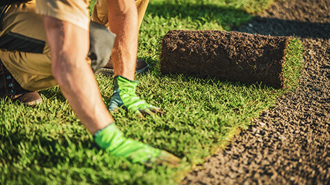 A close view of a landscaper laying turf in a yard