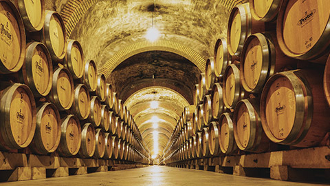 An interior view of a wine cellar