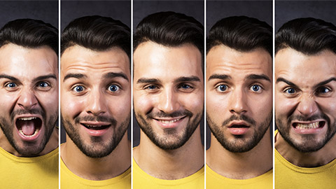 A range of human emotional facial expressions