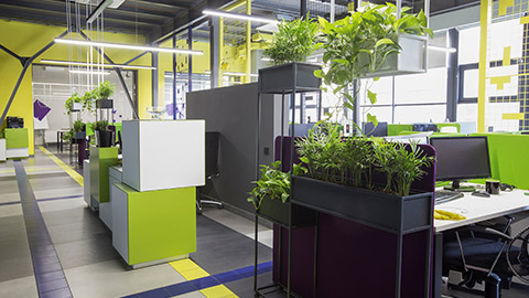 Open space interior with green plants and places for workers, no people