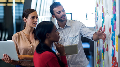 A group of colleagues working on a project