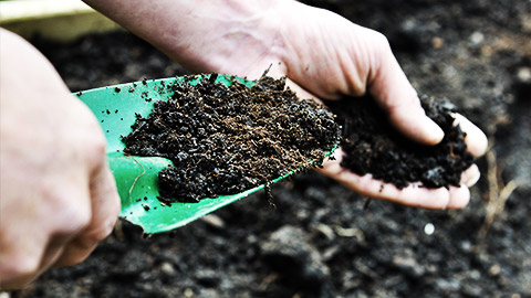 Soil compost