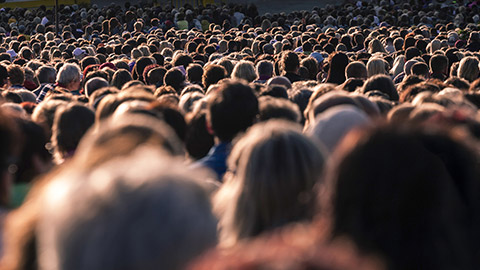 a back view of a crowd