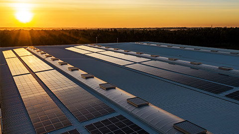 solar panels on a factory roof being kissed by sunlight